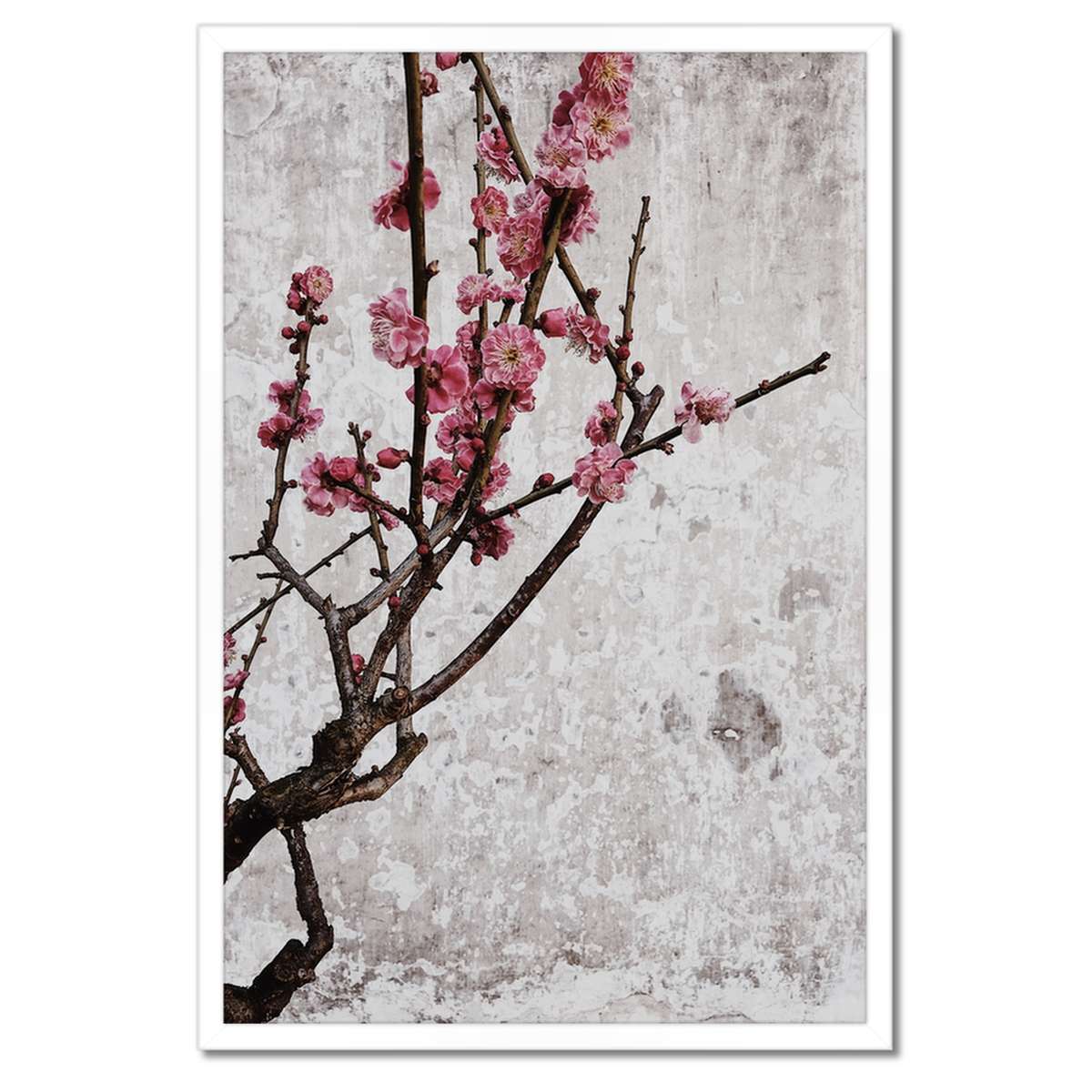 Plakáty v rámu 40x60 Květiny Květiny