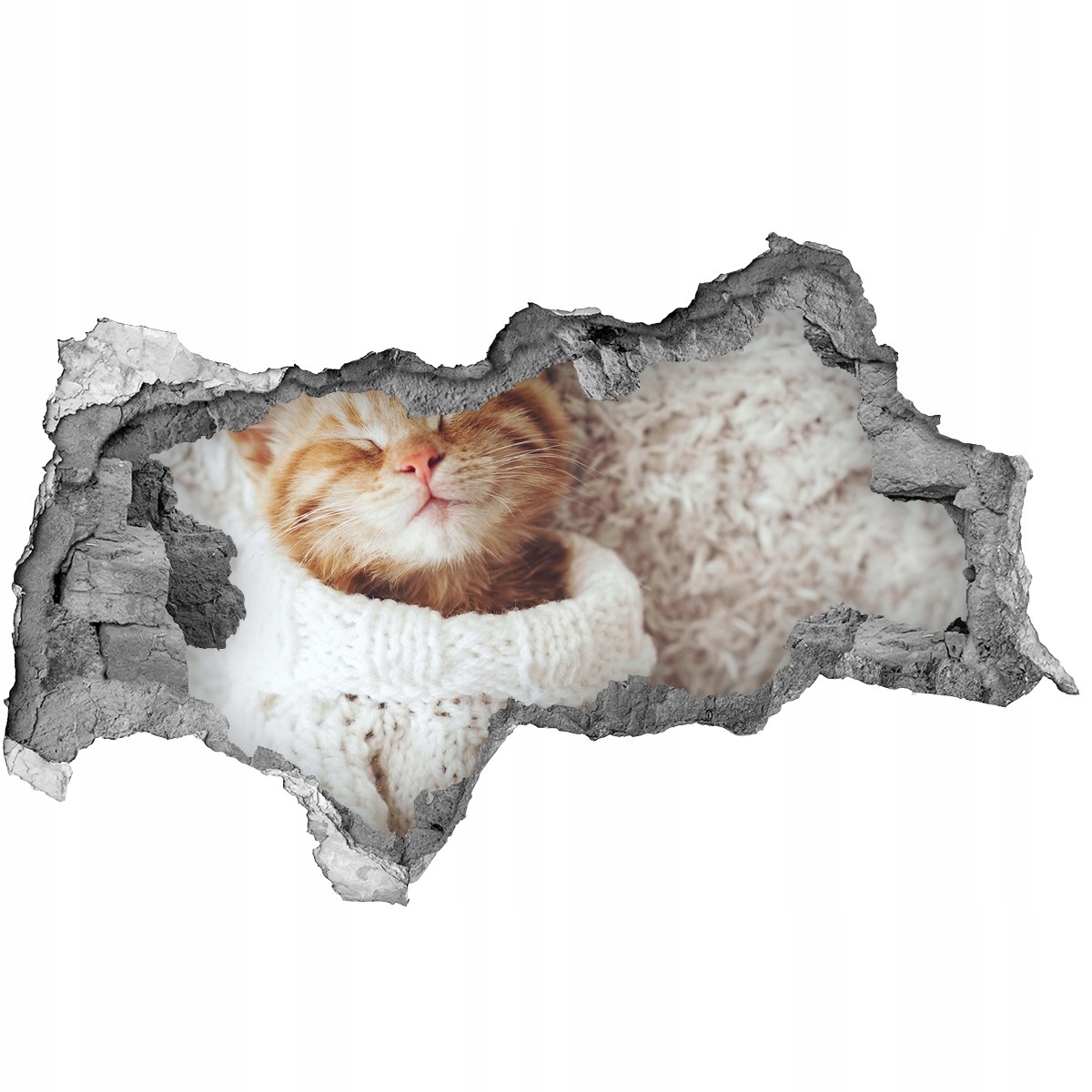 

Dziura 3d foto tapeta Naklejka Kotek w swetrze
