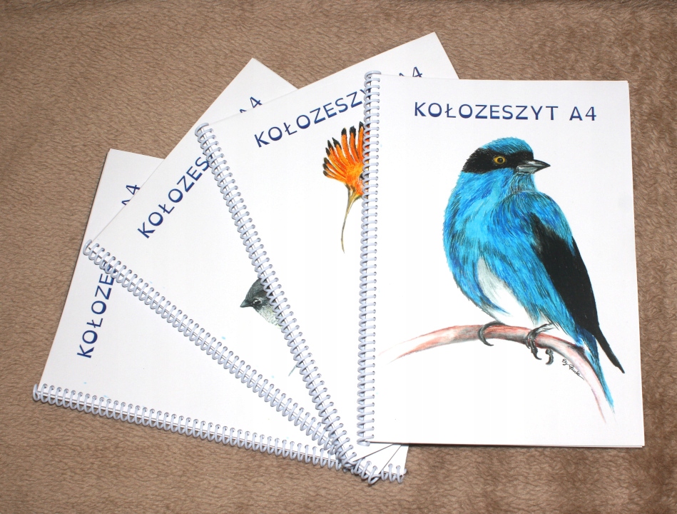 Kołozeszyt A4 50k gładki czysty