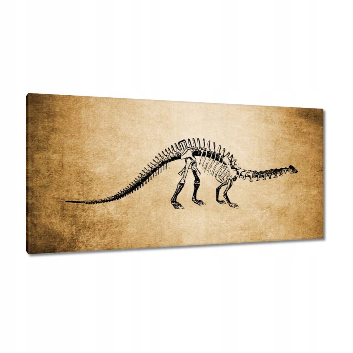 Obrazy 115x55 Dinosaurus Prehistorie Dino