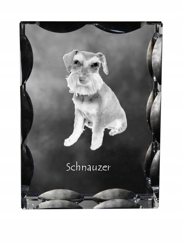 Šnaucer, Schnauzer fotografia psa v ozdobnom kryštáli, suvenír, dekorácia