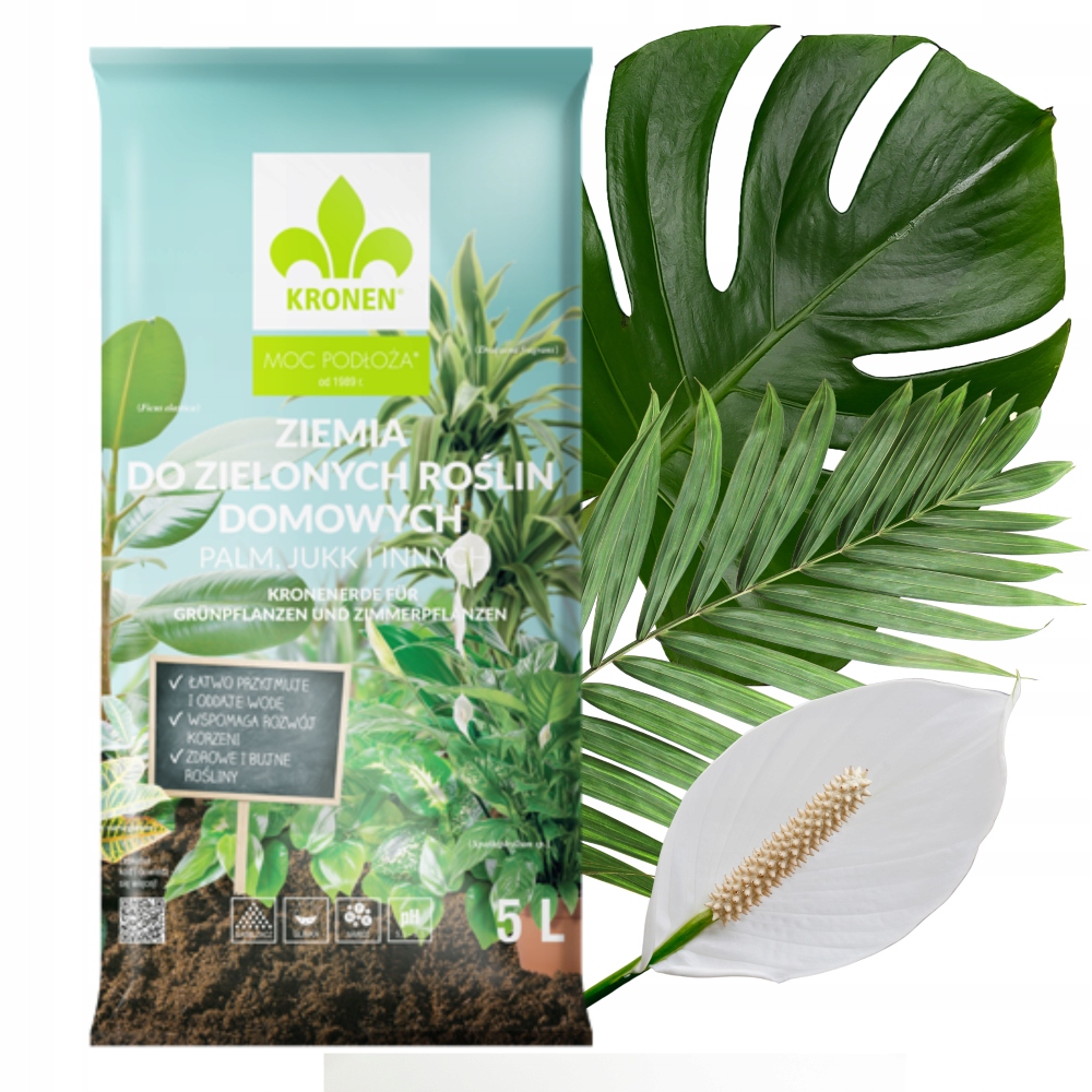 ZIEMIA DO DOMOWYCH ROŚLIN ZIELONYCH:PALM, MONSTERY
