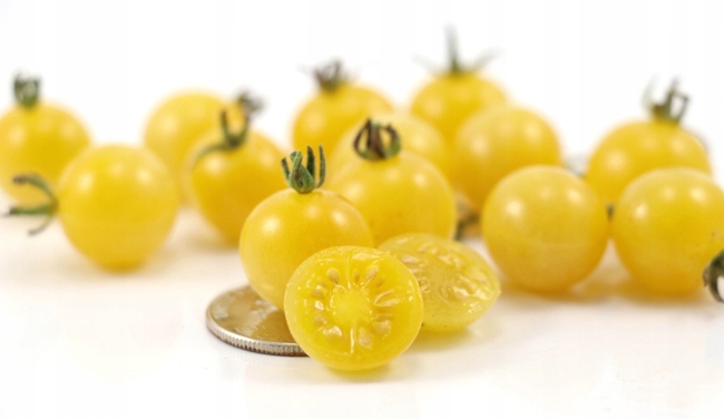 Помидор черри желтый 250 грамм