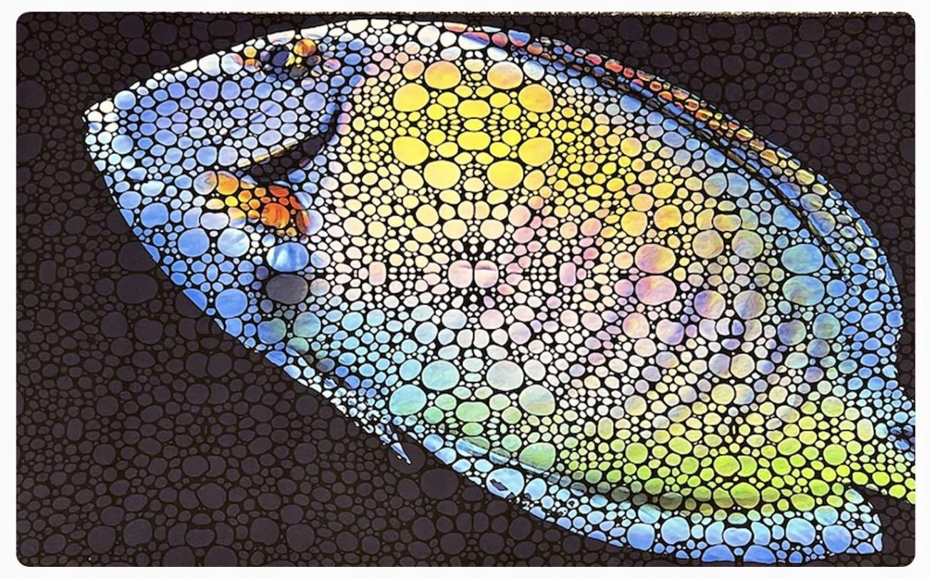 Levně Flipper Akvarijní Podložka Mat Tang 75X45CM