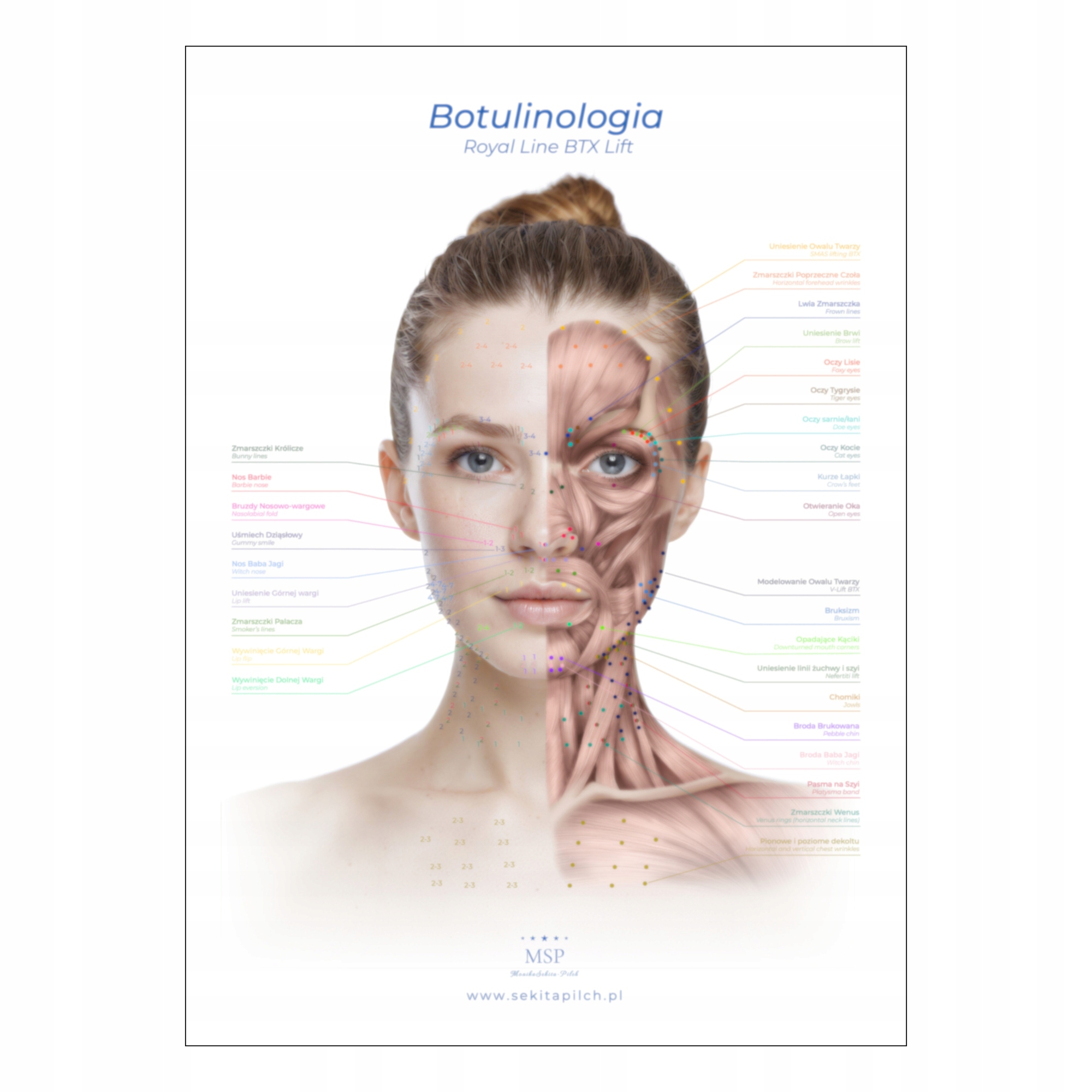Plakat Edukacyjny do gabinetu Plansza anatomiczna beauty Botulinologia