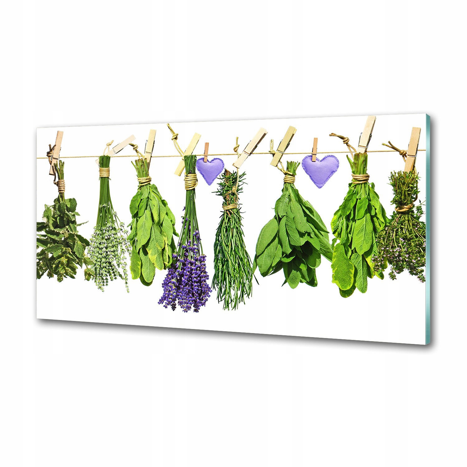 Panel do kuchyne Bylinky na šnúrke 100 x 50 cm Lepidlo
