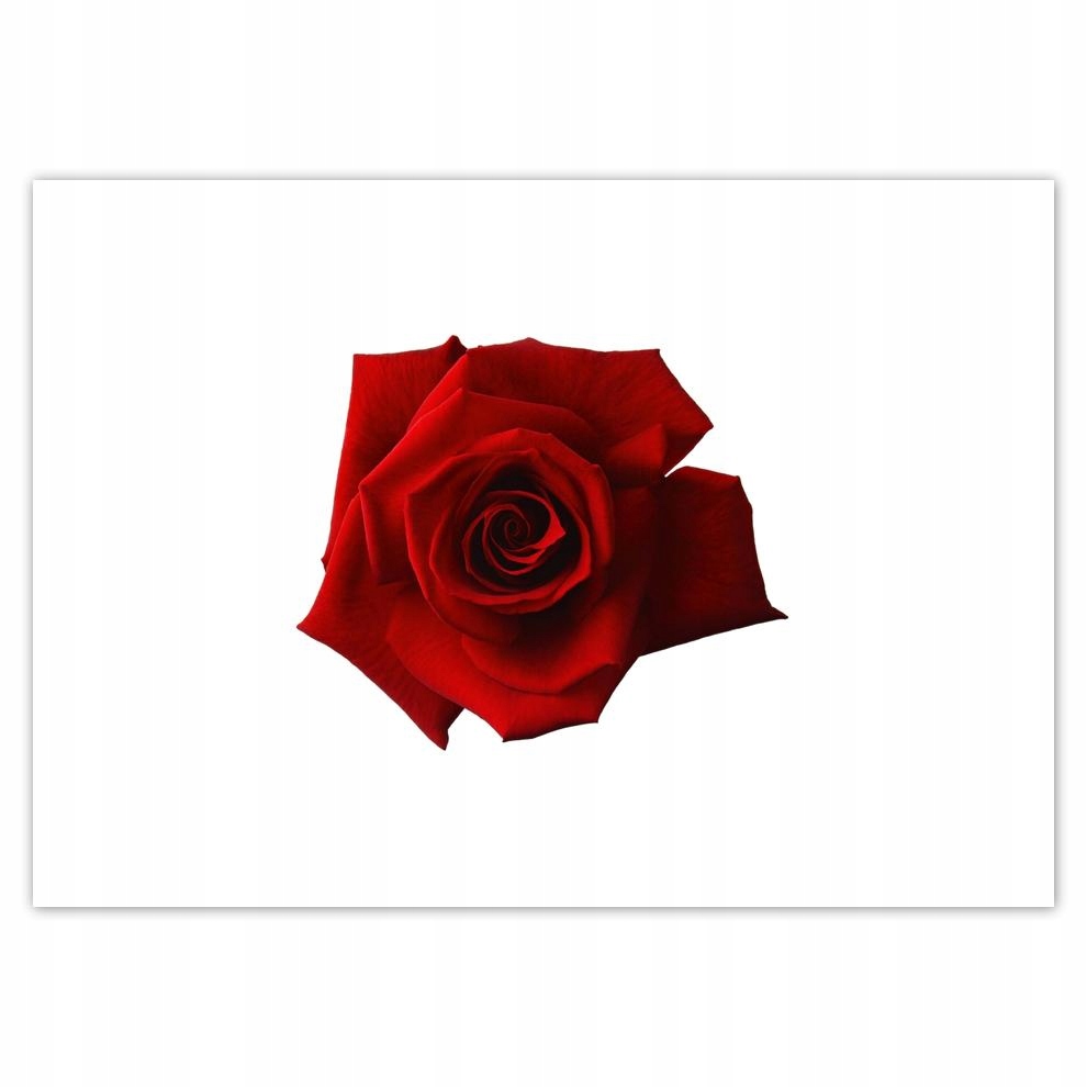 

Naklejki 70x50 Dzień Kobiet Prezent Love