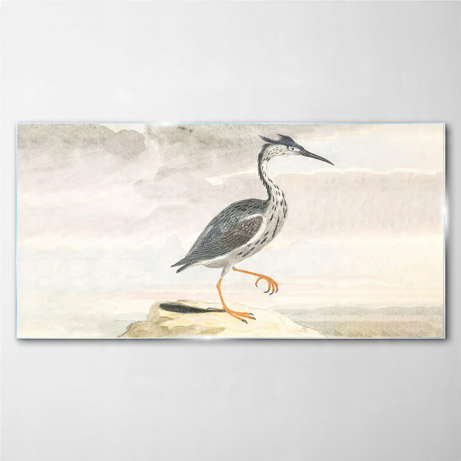 

Foto-obraz szklany Zwierzę ptak niebo 100x50 cm