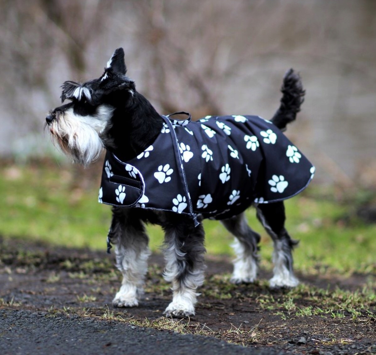 Levně Hřejivý zábal pro seniorní a nemocné psy střední plemena
