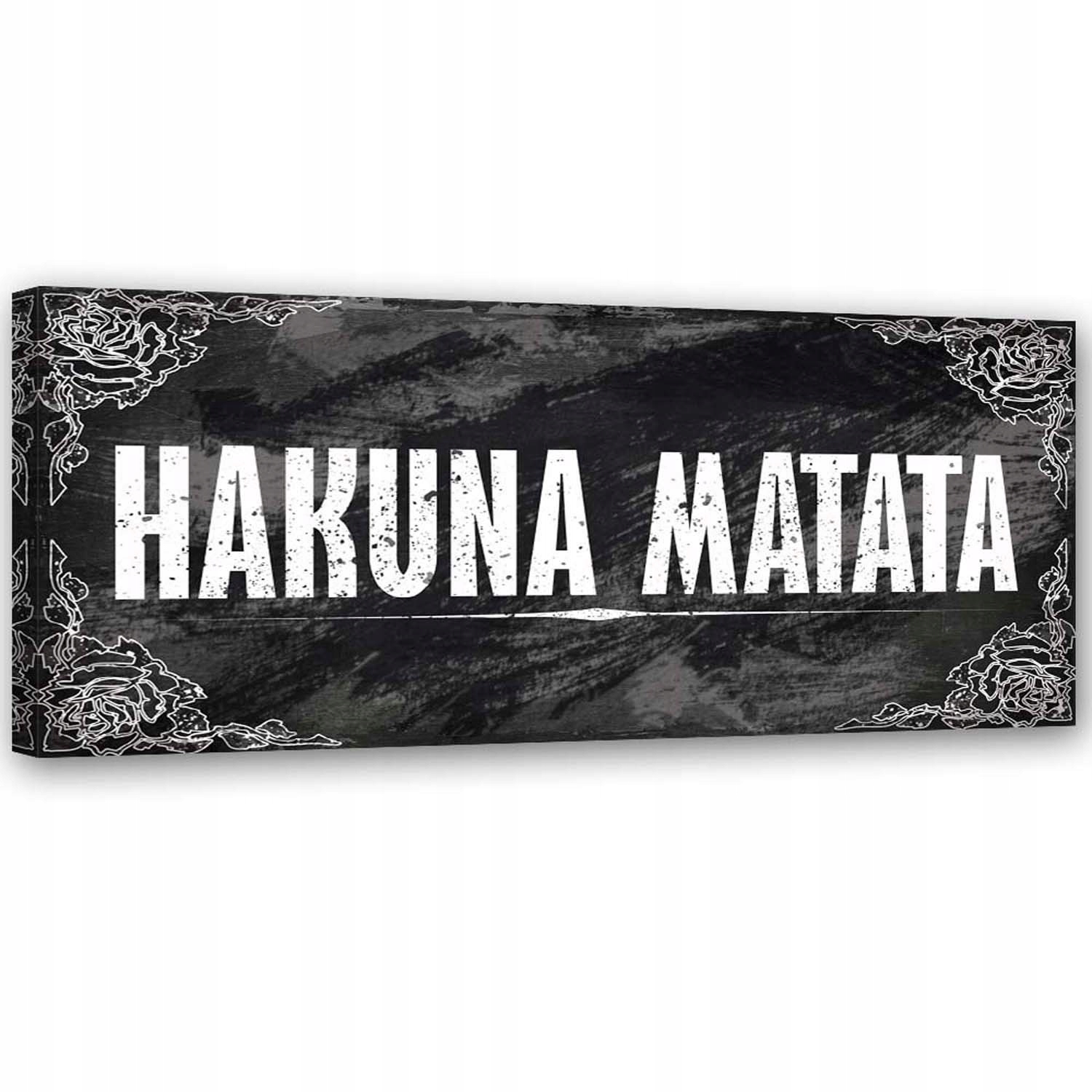 Obraz na plátně Hakuna Matata Lví král 120x40