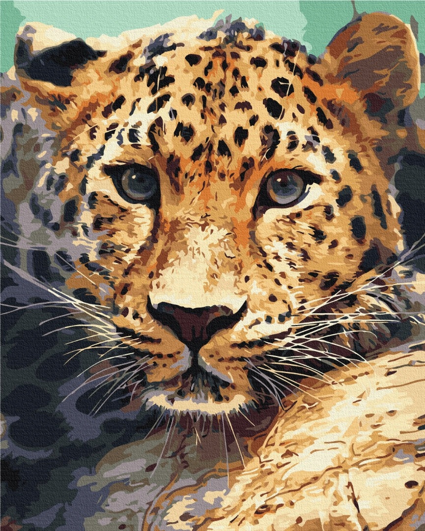 Malování podle čísel Paint it! Gepard 40x50 cm