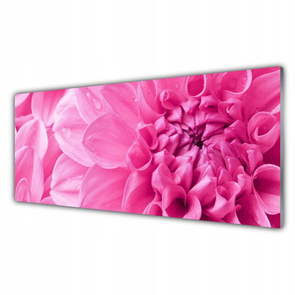 

Fotoobraz nowoczesny 125x50 Kwiaty Roślina Natura