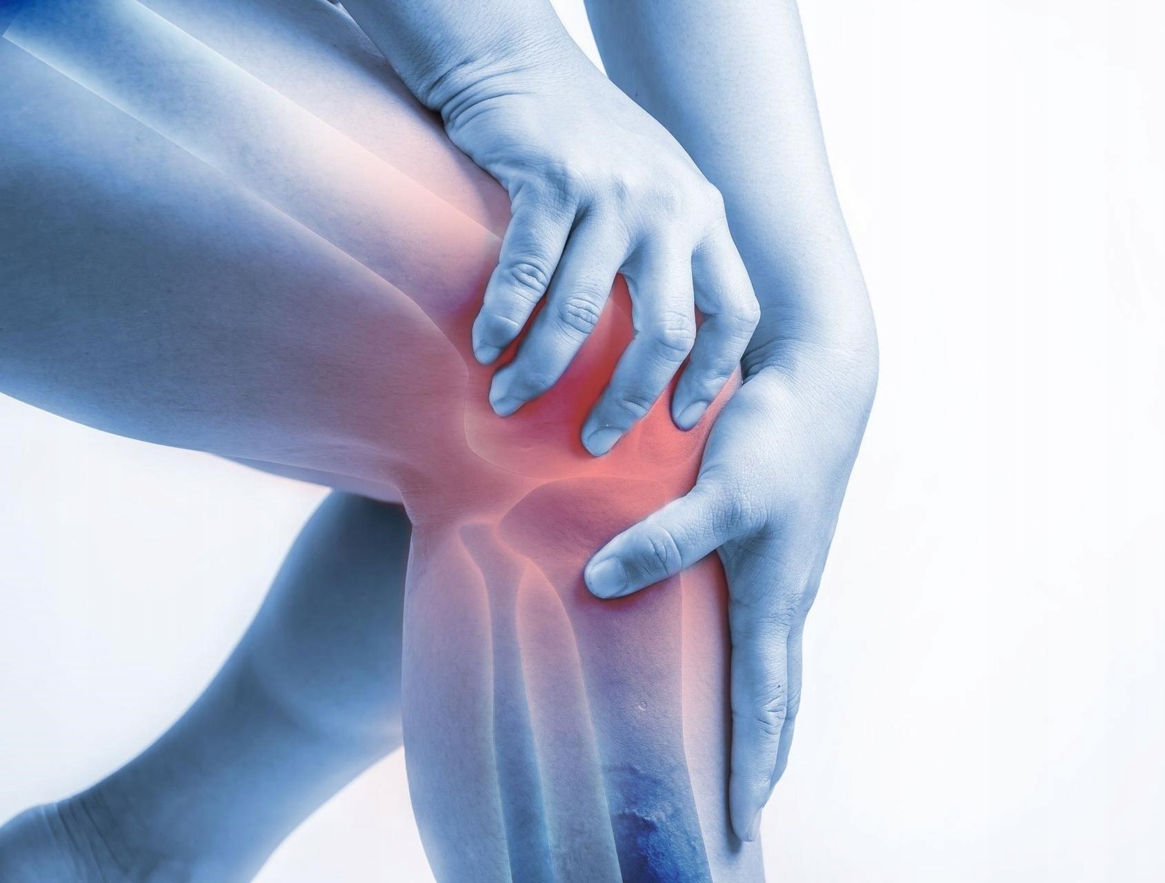 PROFESJONALNA OPASKA STABILIZATOR STAWU KOLANOWEGO KOLANA FITNESS SIŁOWNIA Rozmiar XL