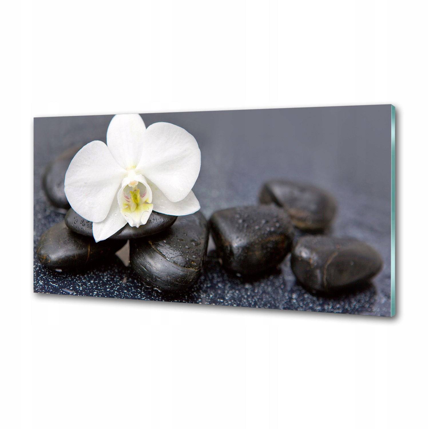 Panel medzi nábytkom v kuchyni Orchidea 120x60 Lepidlo