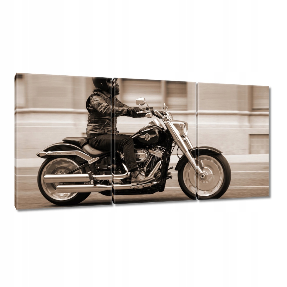 

Obrazy 120x60 Harley Davidson Motocykl