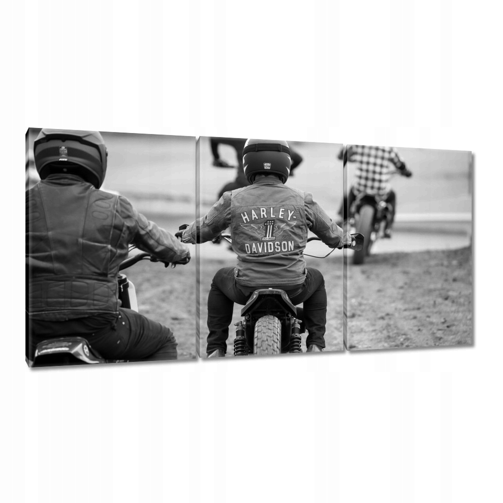 

Obrazy 120x60 Harley Davidson Motocykl