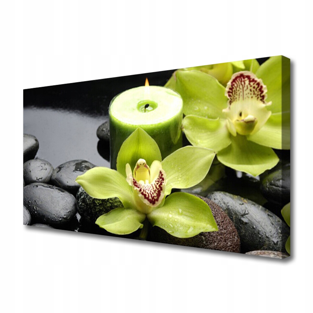 obraz na plátně Orchidej Květiny Rostlina 120x60