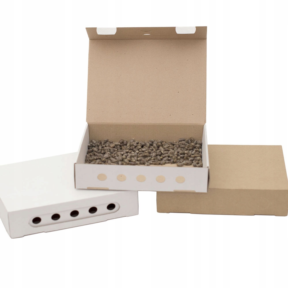 

Pudełko Wylęgowe dla 500 kokonów Pszczoły Murarki