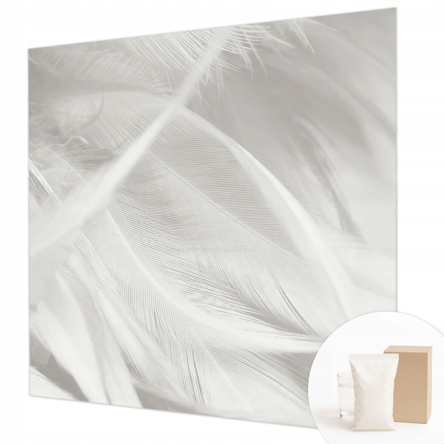 Flizelinová fototapeta do apartmánů lepidlo Jemné peří 250 x 250 cm