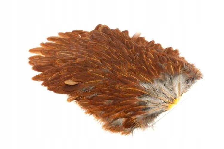 Whiting 4 B's Hen Saddle Brown