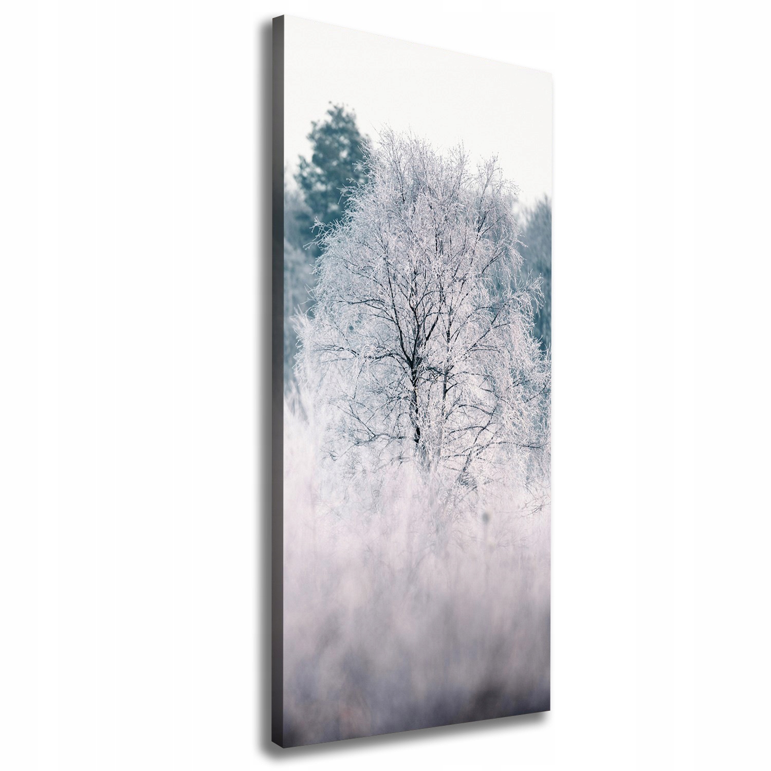 

Foto obraz na płótnie do salonu Las zimą 50x125 cm