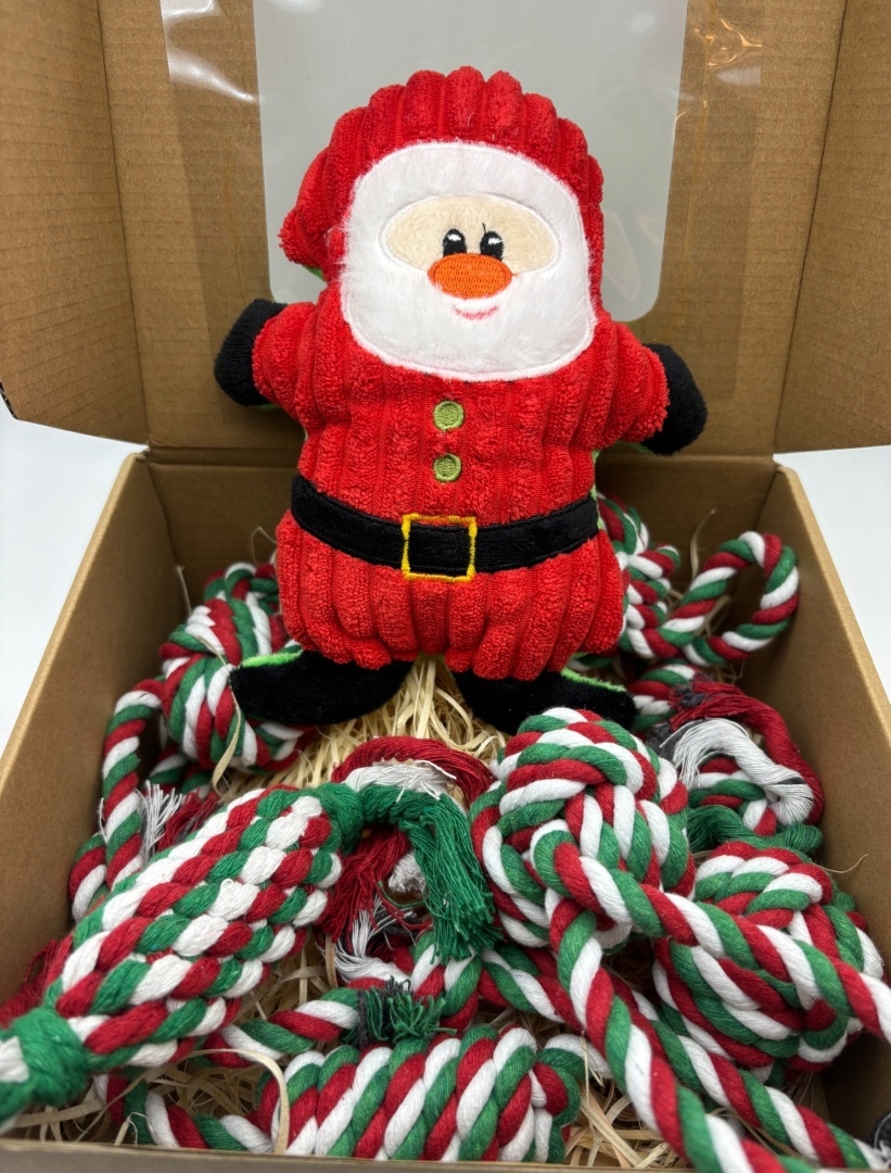 Levně Vánoční sada s Mikulášem