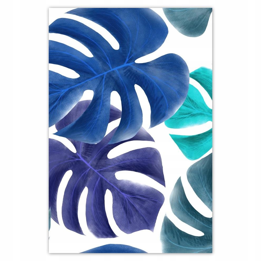 

Plakat 62x93 Monstera Liście Niebieski