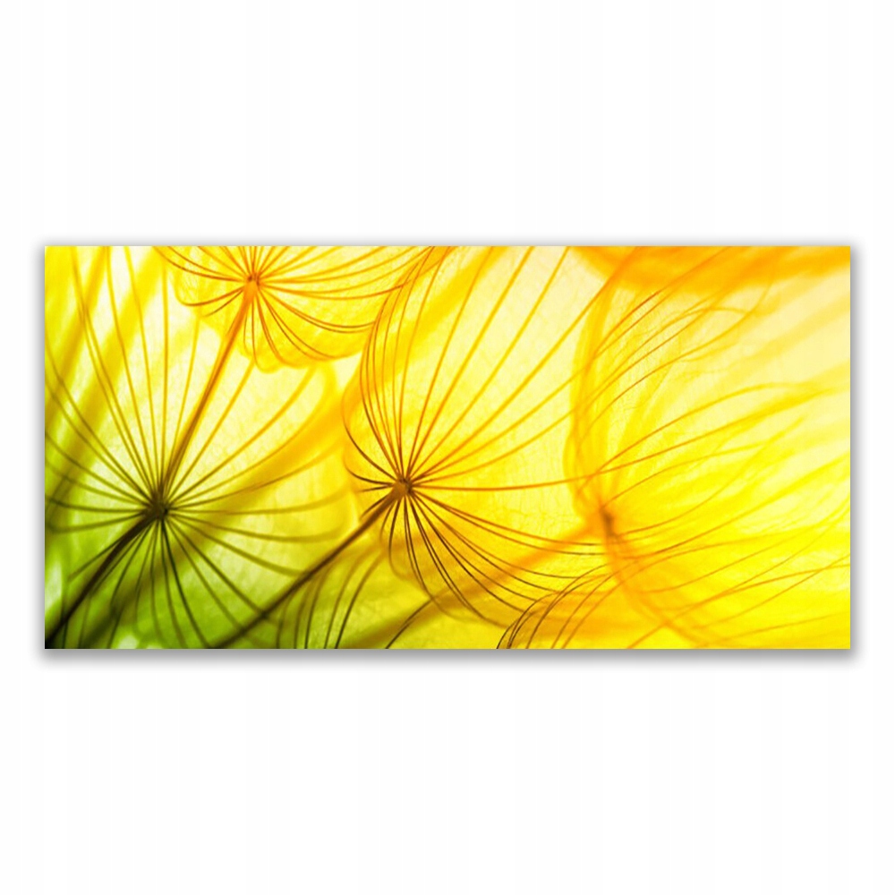 

Fotoobraz na ścianę 120x60 Dmuchawce Kwiaty Natura