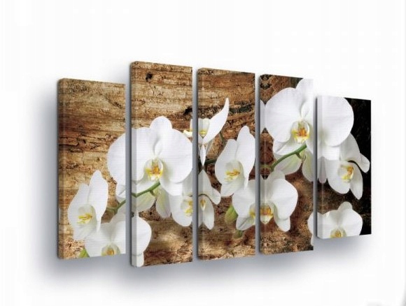 Obraz 150x100 modulárne orchidey biele kvety textúra drevo príroda