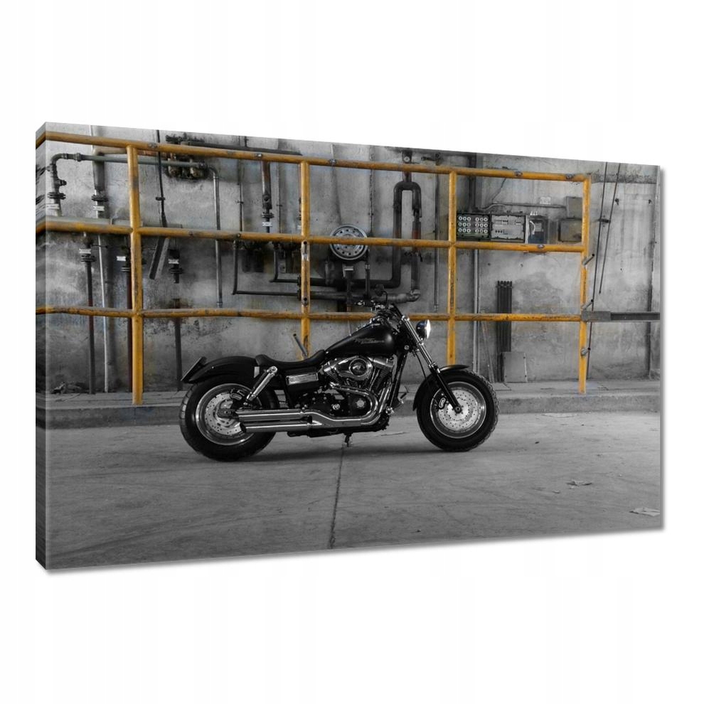 

Obrazy 90x60 Harley Davidson
