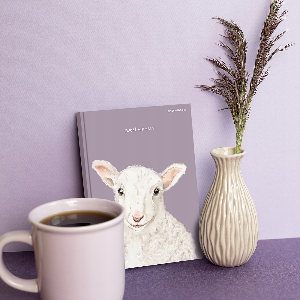 BRULION TOP 2000 SWEET ANIMAL A6 80 kartek KRATKA EAN (GTIN) 5904017413462