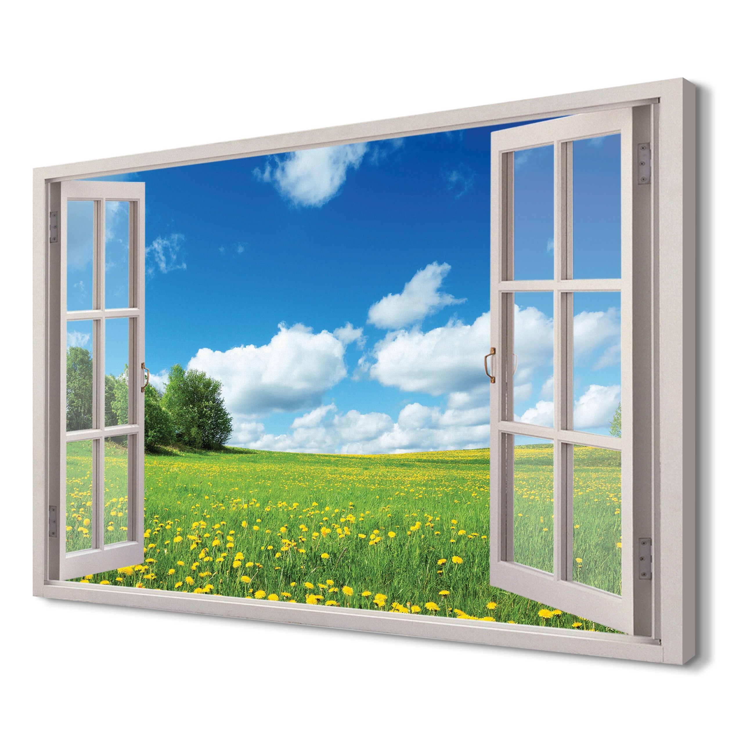 

Żółte mlecze Obraz na płótnie 3d 120x80 do salonu