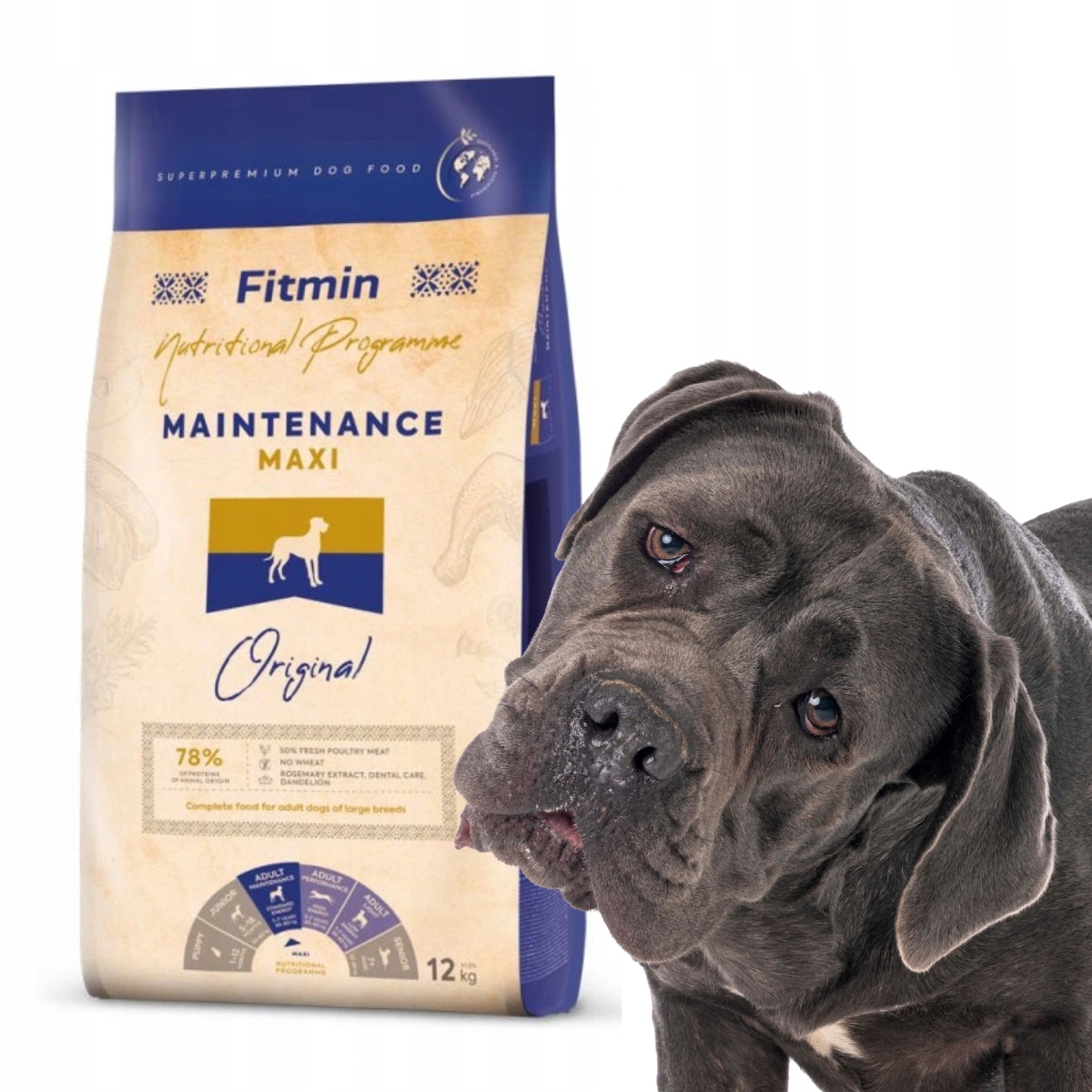 Fitmin Original Maxi Maintenance 12kg