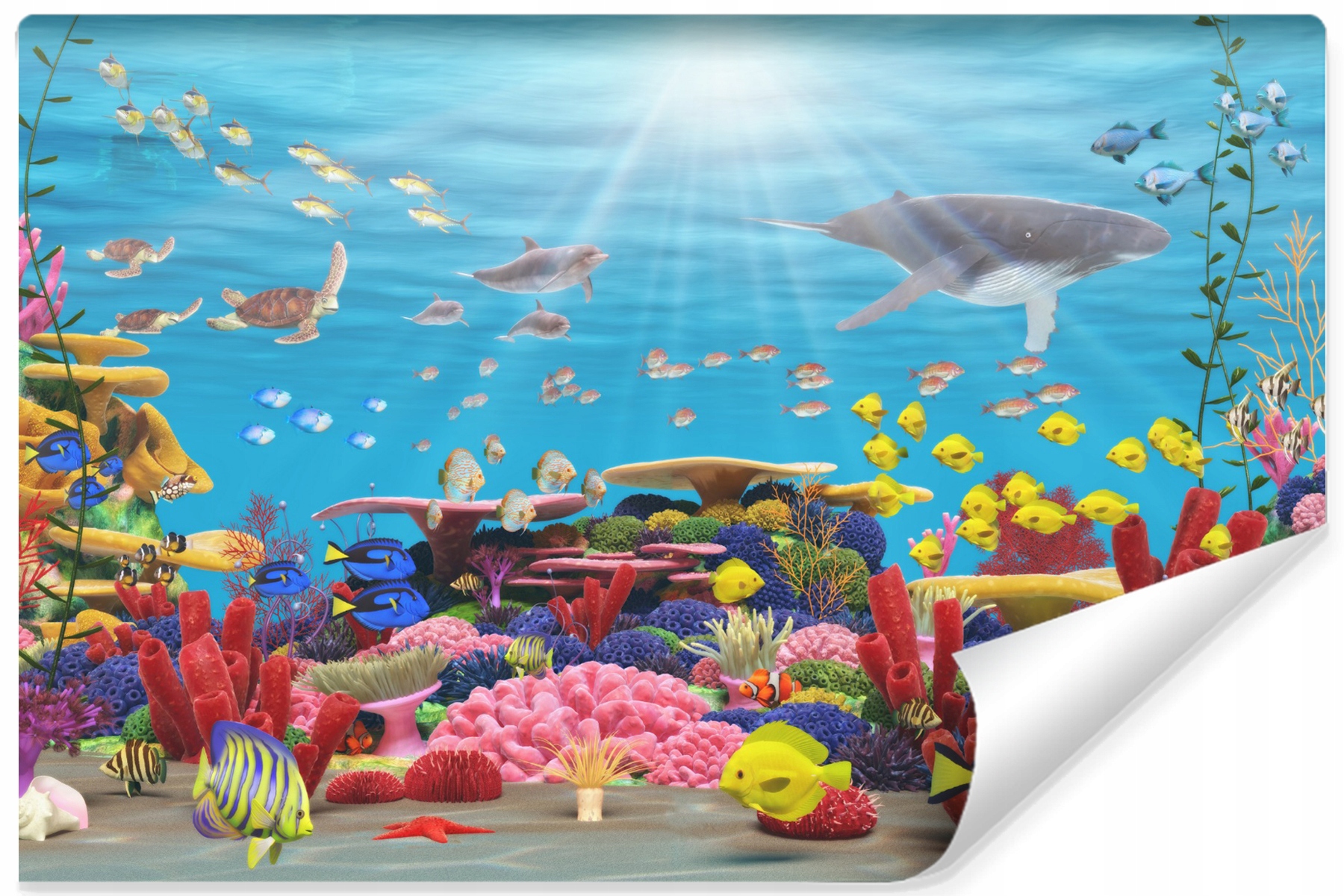 

Fototapeta młodzieżowa ryby rafa koralowa 405x270