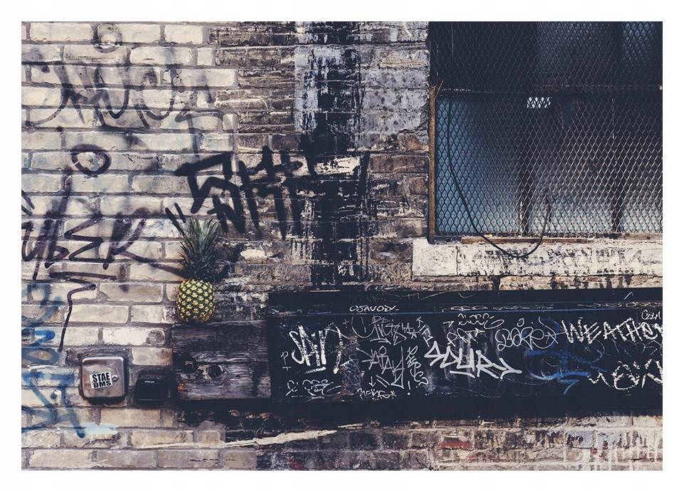 

Fototapeta 3D graffiti 312x219 F00878