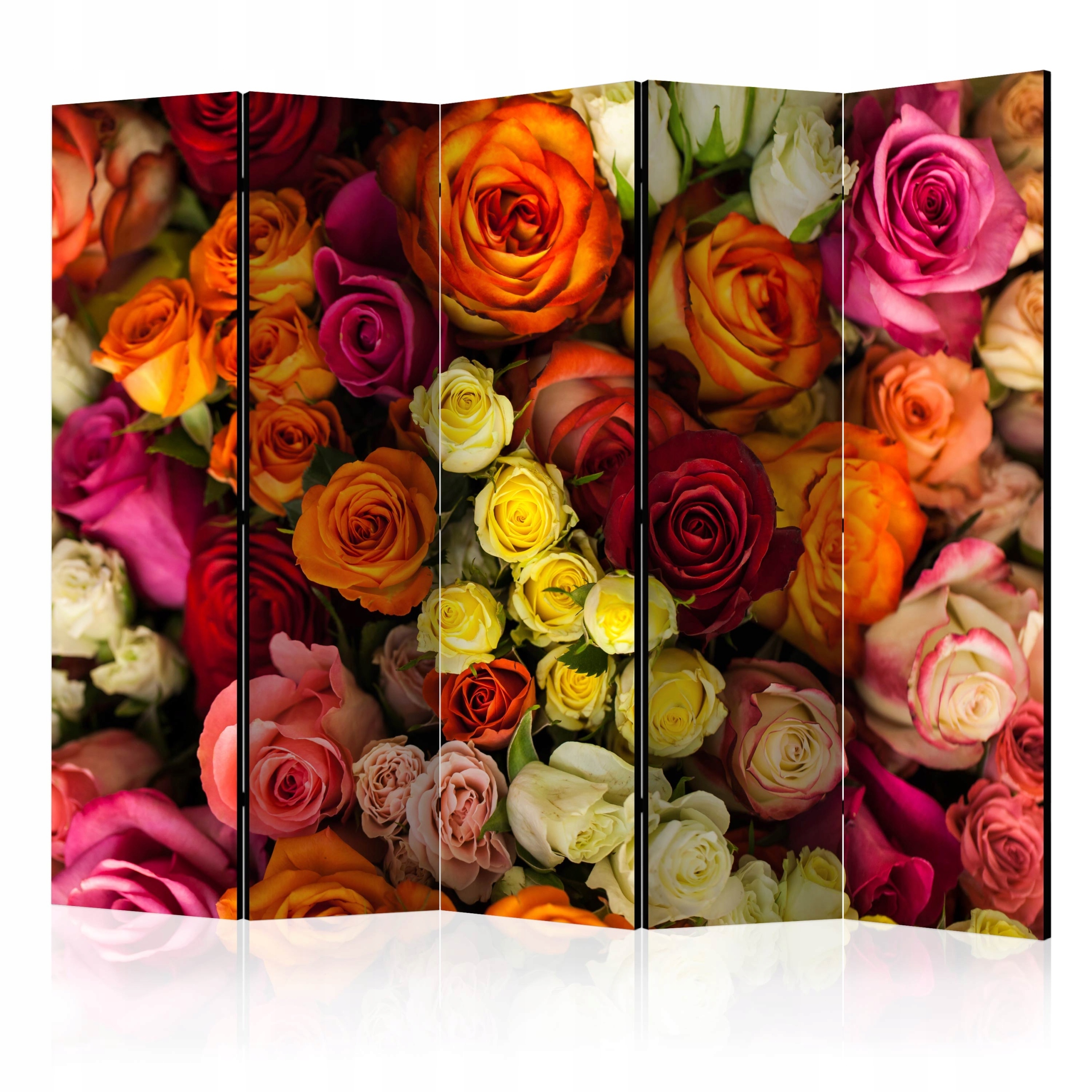 Dekorační Paraván Oboustranný b-B-0177-z-c