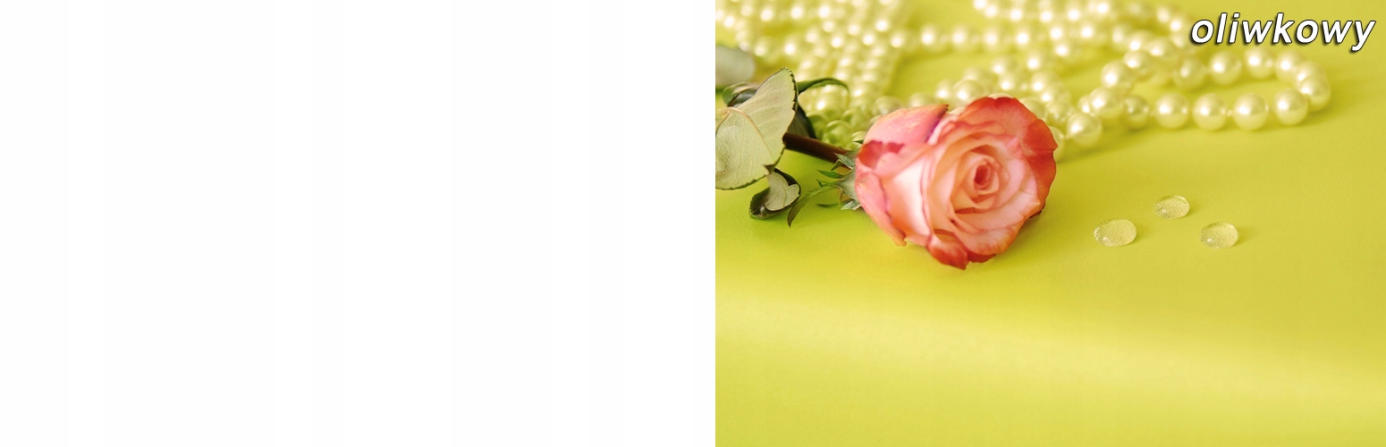 OBRUS PLAMOODPORNY 100x150 BIAŁY PRESTIGE - KOLORY Marka 123Obrusy