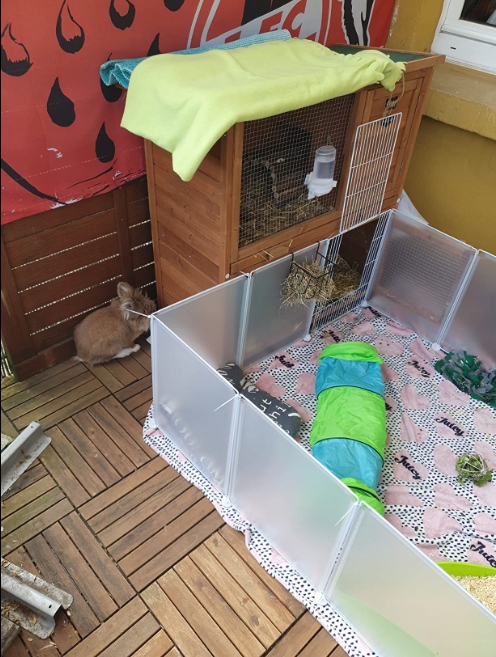 Плейпен Клетка Ферма для Маленьких Животных Кроликов Забор Поход Дополнительные функции складывания