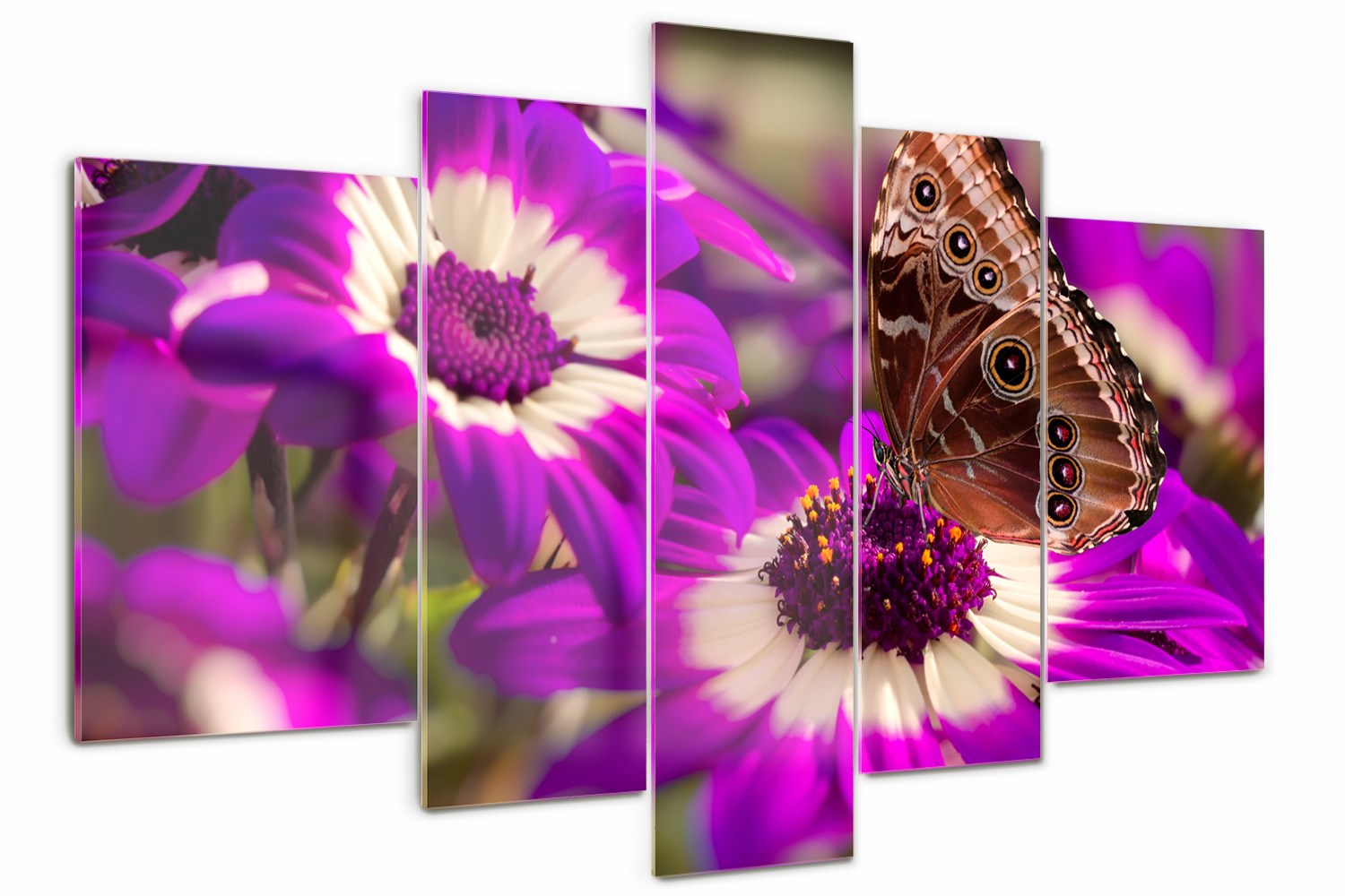 Foto Obraz skleněný triptych Motýl na květině