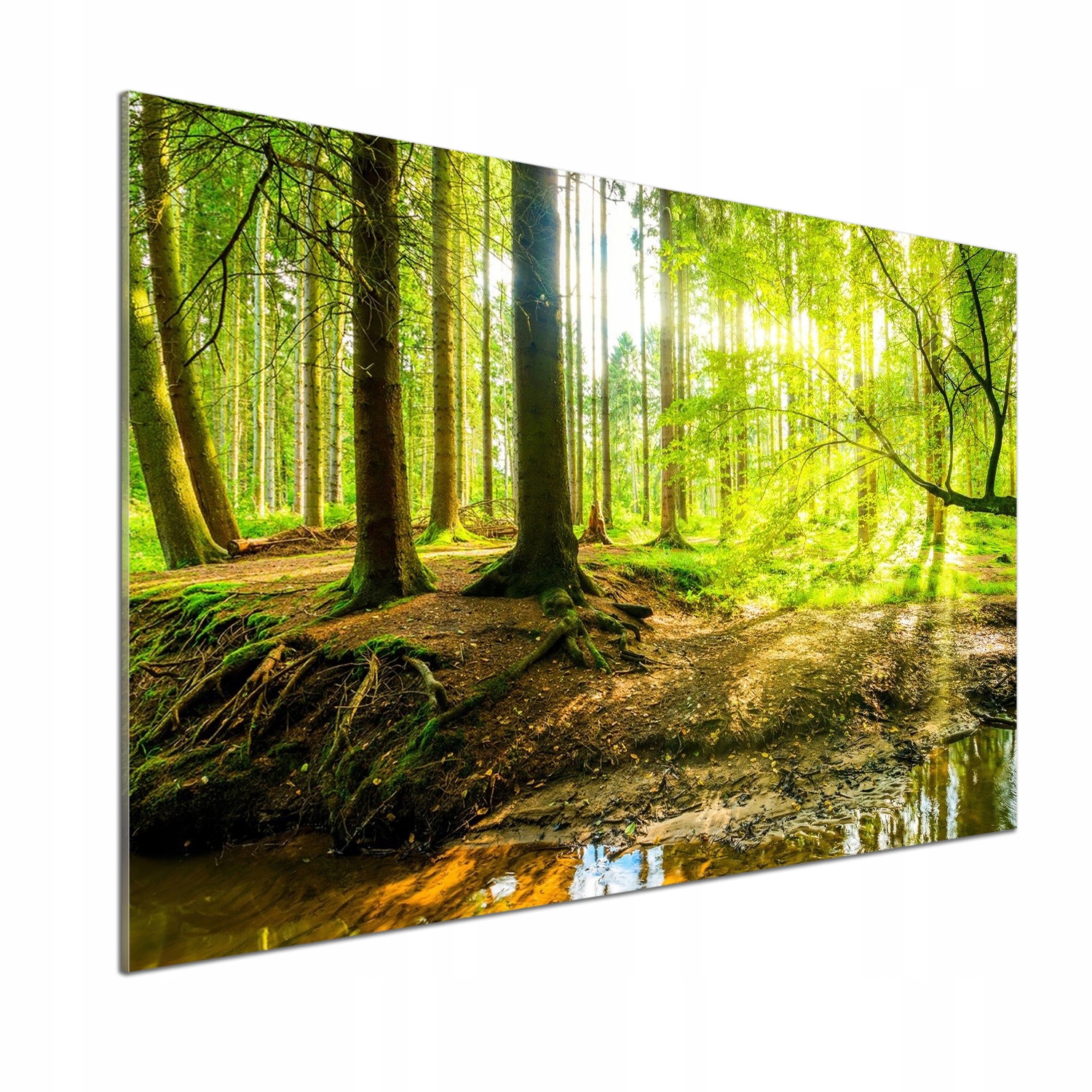 Panel do kuchyne Slnečné lúče les 100x70 Lepidlo