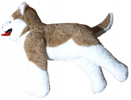 Pies Husky Z Kocykiem Pluszowa Zabawka Maskotka Przytulanka 70CM