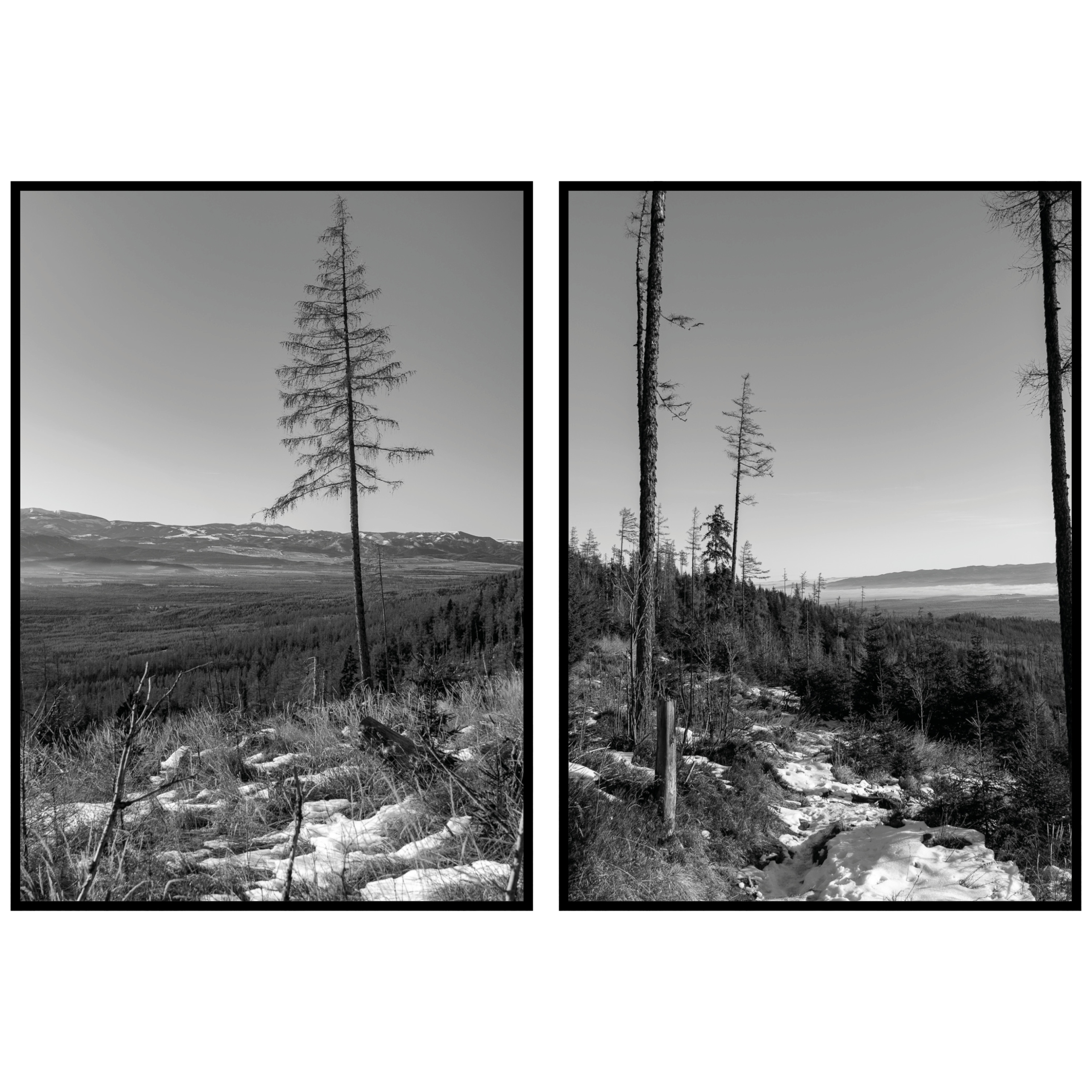 Stromy krajina panoráma 2ks- 70x100cm hory čiernobiele Plagáty diptych