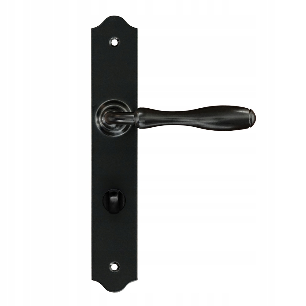 Klamka Bristol z szyldem Wc 72mm