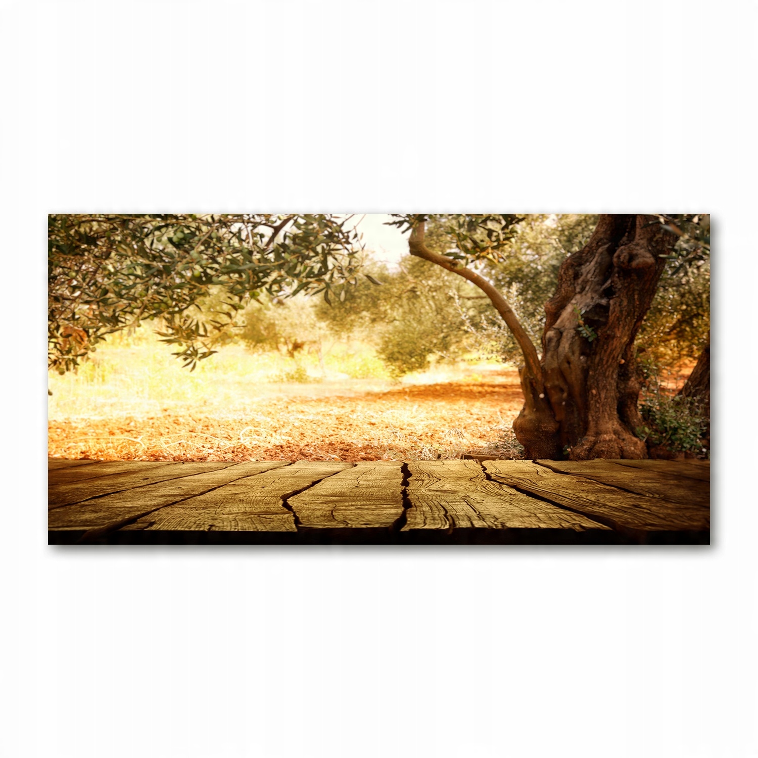 

Foto-obraz akryl Drzewo oliwne zdjęcie 140x70 cm