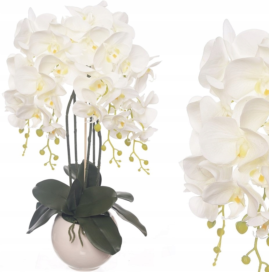 Storczyk Sztuczny Orchidea w Doniczce Jak Żywy Premium Gumowy Pędy Mech