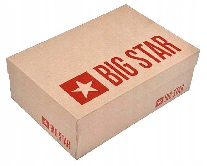 BUTY DAMSKIE ZIMOWE BIG STAR ŚNIEGOWCE OCIEPLANE Wzór dominujący logo