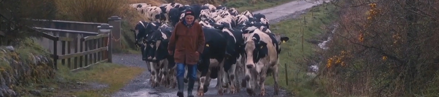 GUMOWCE WYGODNE GUMIAKI TRWAŁE WYSOKIEJ JAKOŚCI Model BUTY GUMOWE MĘSKIE DAMSKIE WODOSZCZELNE