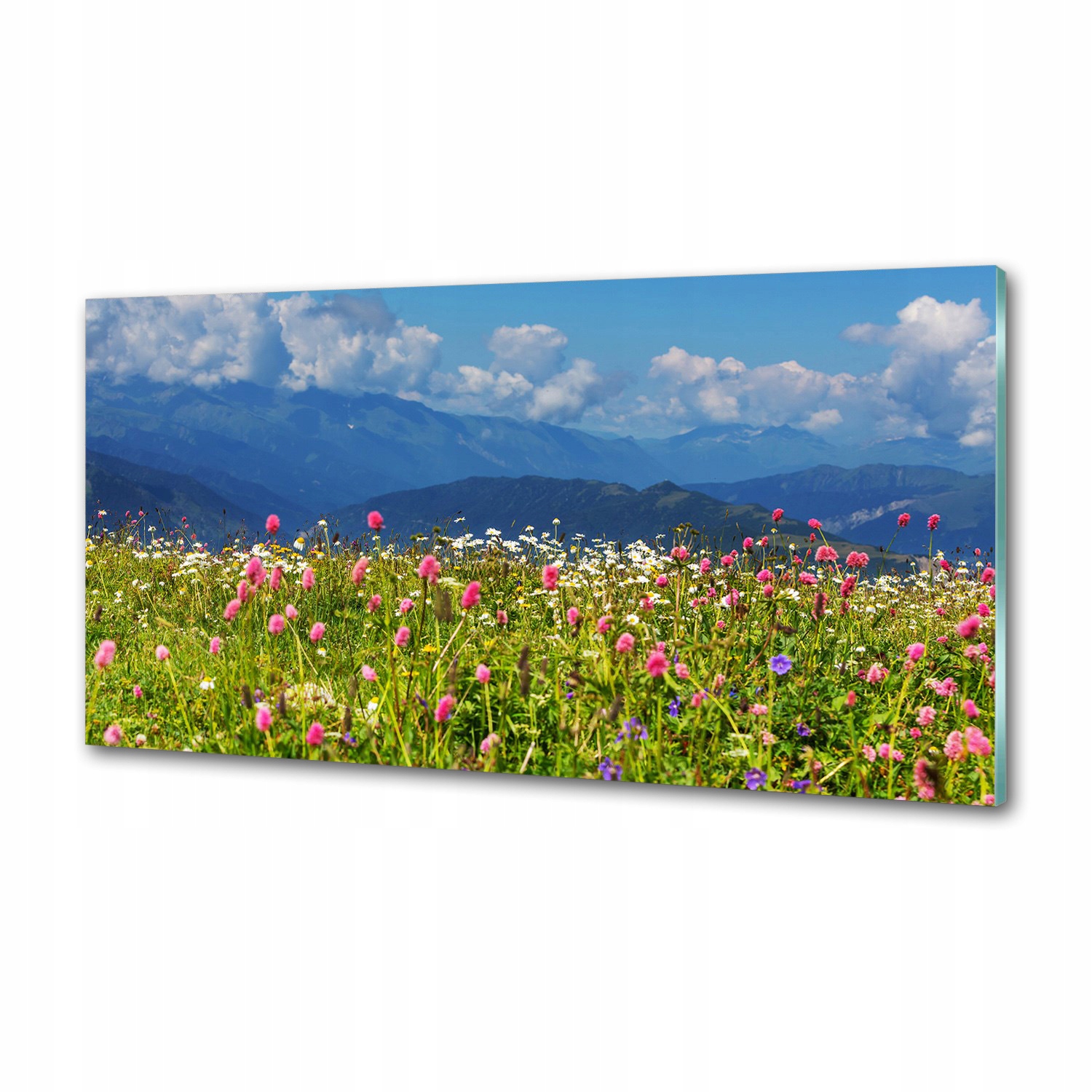 Panel do kuchyne Lúka v horách 100x50 cm Lepidlo