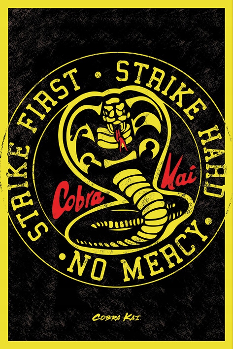 

Cobra Kai Szkoła Walki plakat 61x91,5 cm