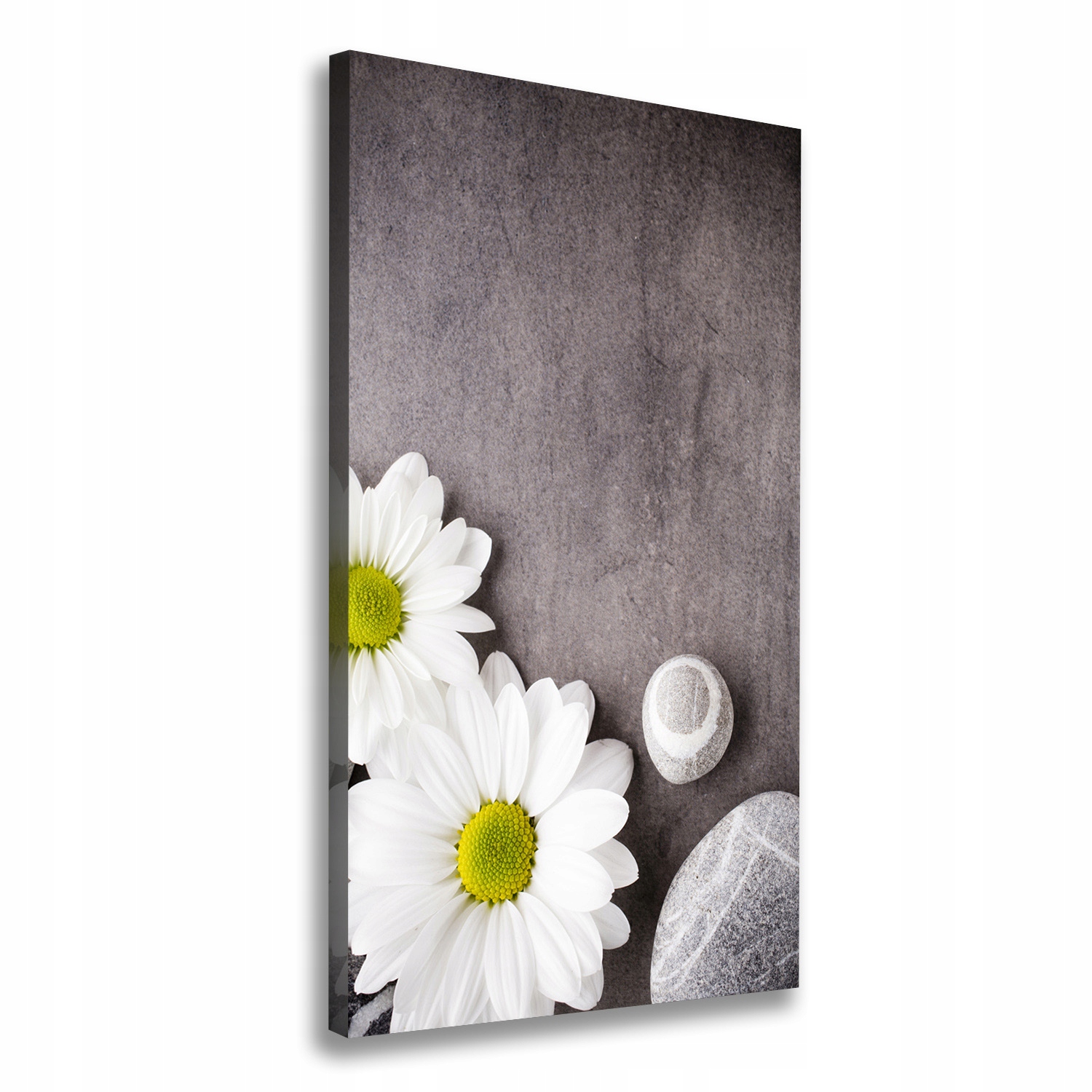

Nowoczesny obraz canvas na ramie Gerbera 50x100 cm